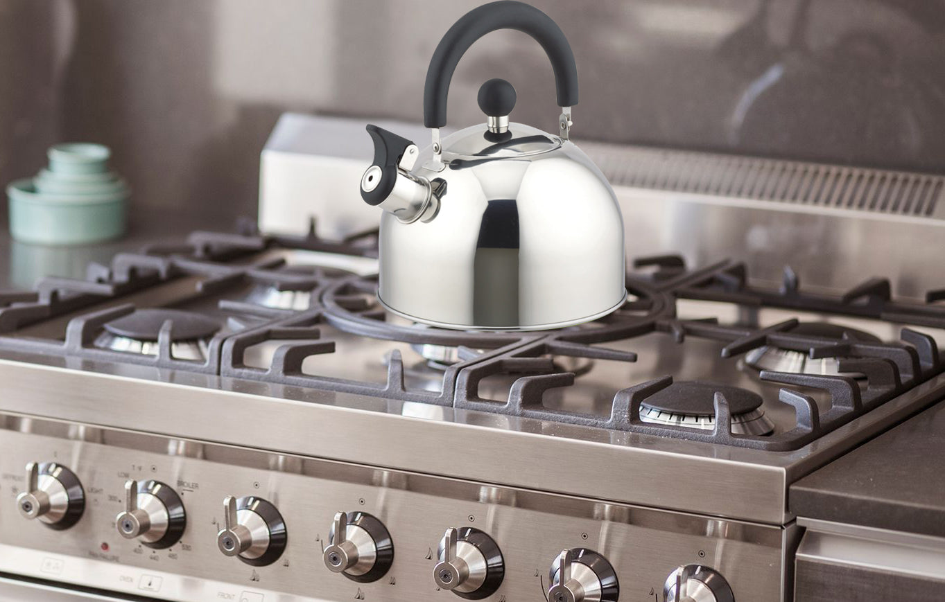 
                  
                    Bene Casa 2.5-quart stainless-steel stovetop tea kettle, removable, whistles
                  
                